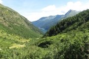 IMG_0064