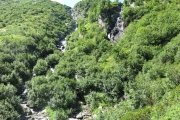 IMG_0080