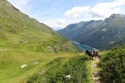 IMG_0105