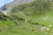 IMG_0111