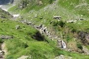 IMG_0118