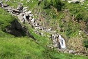 IMG_0124