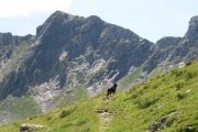 IMG_0132