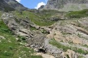 IMG_0142