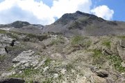IMG_0153