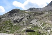 IMG_0156