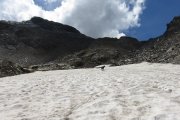 IMG_0171