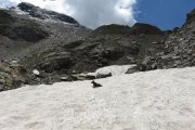 IMG_0173
