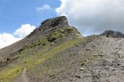 IMG_0195