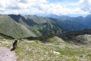 IMG_0208