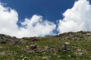 IMG_0223