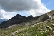 IMG_0226