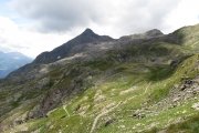 IMG_0250