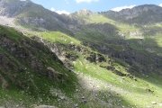 IMG_0282