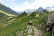 IMG_0294