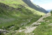 IMG_0298