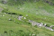 IMG_0307
