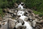 IMG_0318
