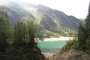 IMG_0326