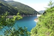 IMG_0331