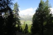 IMG_0003