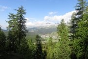 IMG_0008