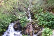 IMG_0009