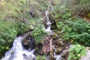 IMG_0011
