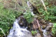 IMG_0012