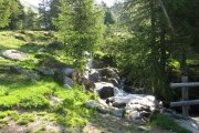 IMG_0015