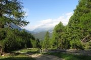 IMG_0017