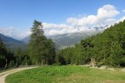 IMG_0021
