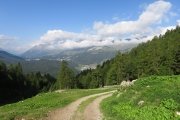 IMG_0025