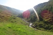 IMG_0031
