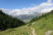 IMG_0035