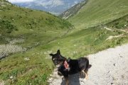 IMG_0041