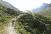 IMG_0043