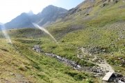IMG_0050