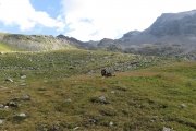 IMG_0091