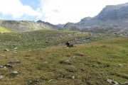 IMG_0092