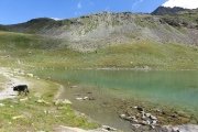 IMG_0110