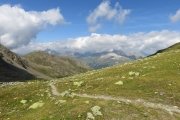 IMG_0115
