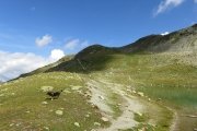 IMG_0117