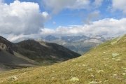 IMG_0153