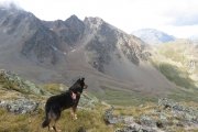 IMG_0196