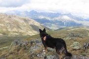 IMG_0201