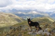 IMG_0204