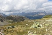 IMG_0219