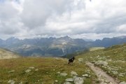 IMG_0228