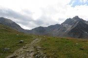 IMG_0233